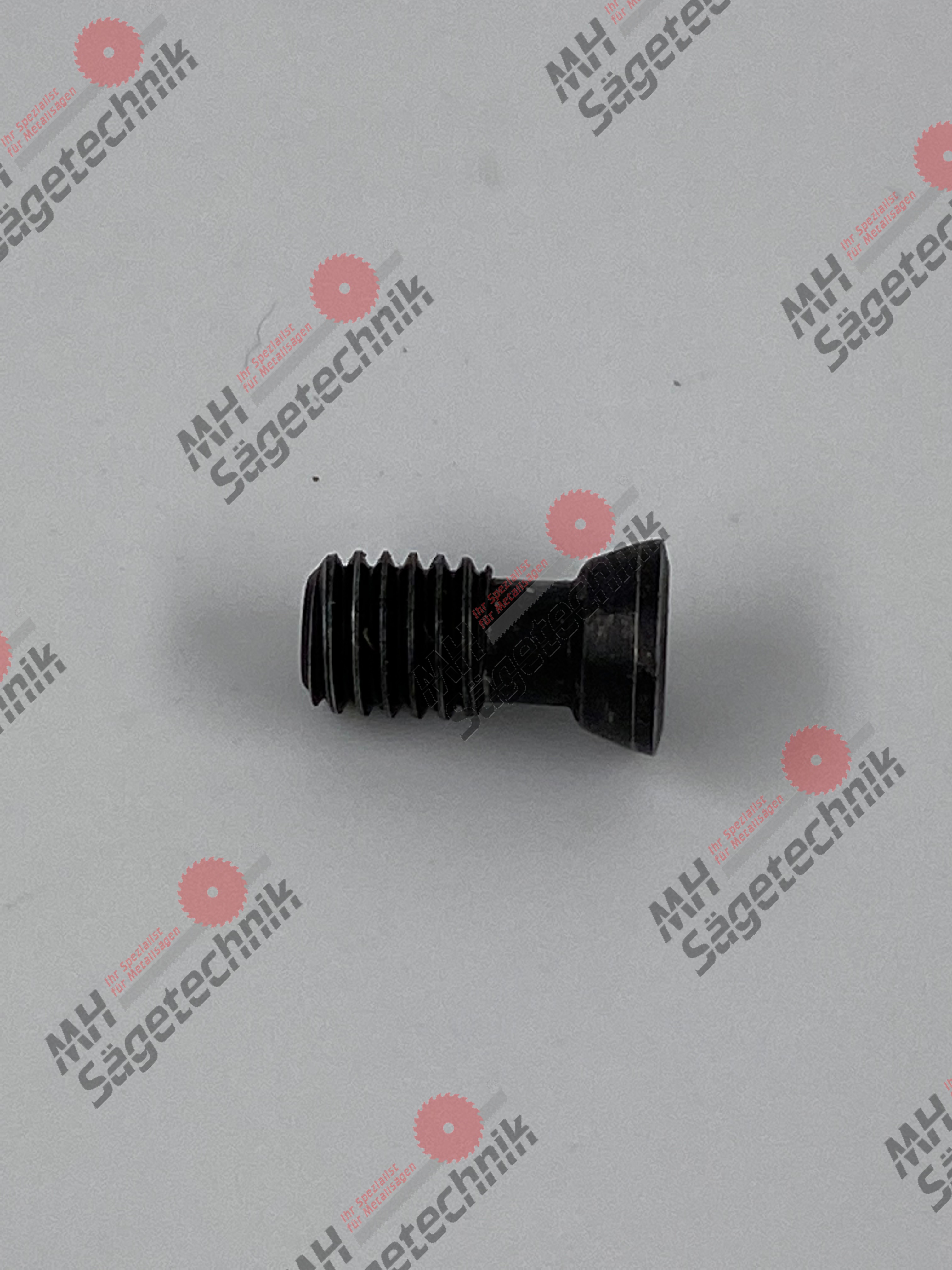 Torx-Schraube für Hartmetallplatte